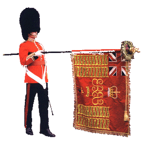 Guard holding the Colours