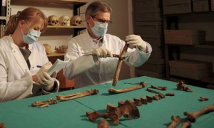 Queen Ædgyth / Eadgyth's bones being examined